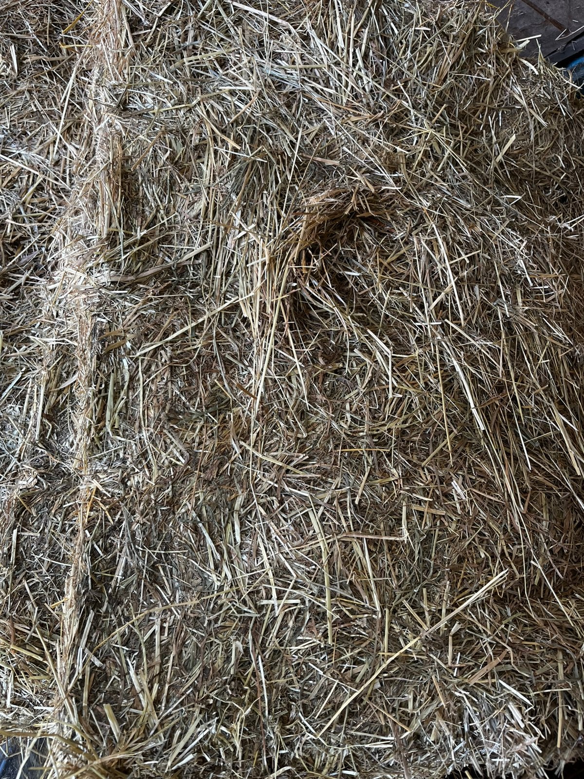 Grote baal geanalyseerd hooi, Dieren en Toebehoren, Dierenvoeding, Ophalen, Vee
