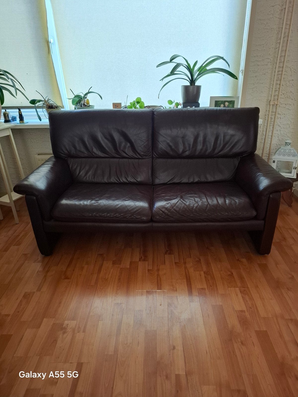 Comfortabele tweepersoonsbank van donkerbruin leer, Ophalen, Gebruikt, 150 tot 200 cm, Tweepersoons