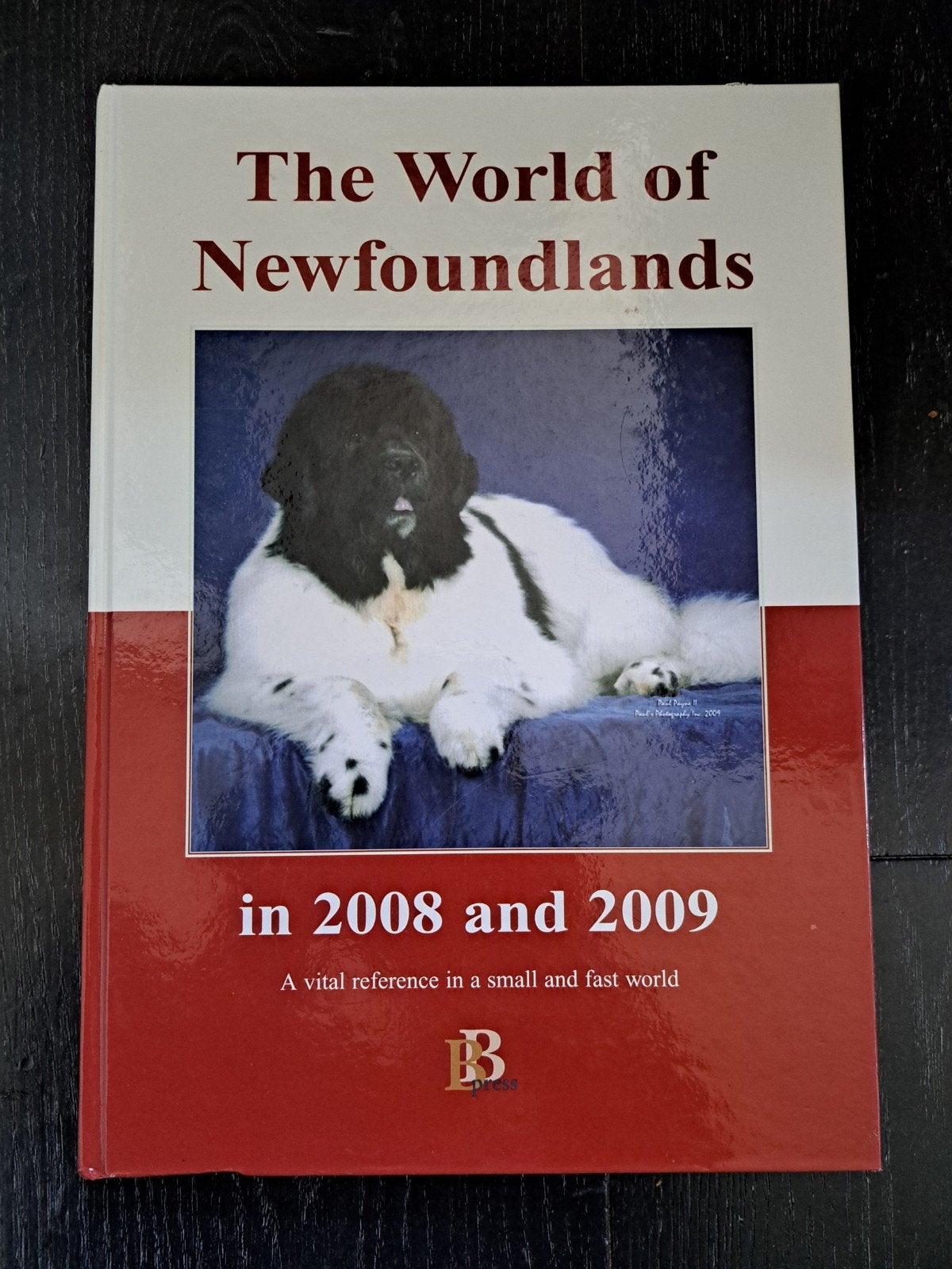 The World of Newfoundlands in 2008 and 2009 groot dik boek, Gelezen, Honden, Ophalen of Verzenden, Karin Butenhoff