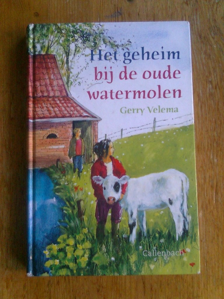 Het geheim bij de oude watermolen, door Gerry Velema, Ophalen of Verzenden, Gelezen