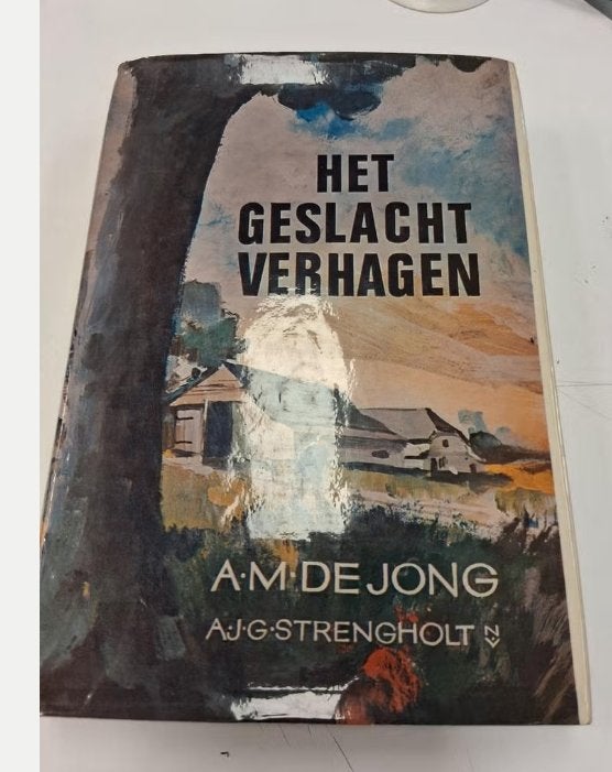 Het Geslacht Verhagen - A.M. de Jong (AJG Strengholt), Ophalen of Verzenden, Gelezen