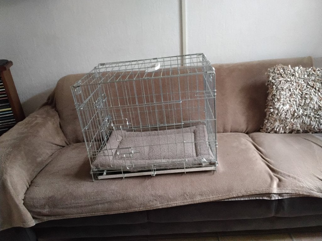 Te Koop Nieuwe opvouwbare Honden Bens, Ophalen, Nieuw