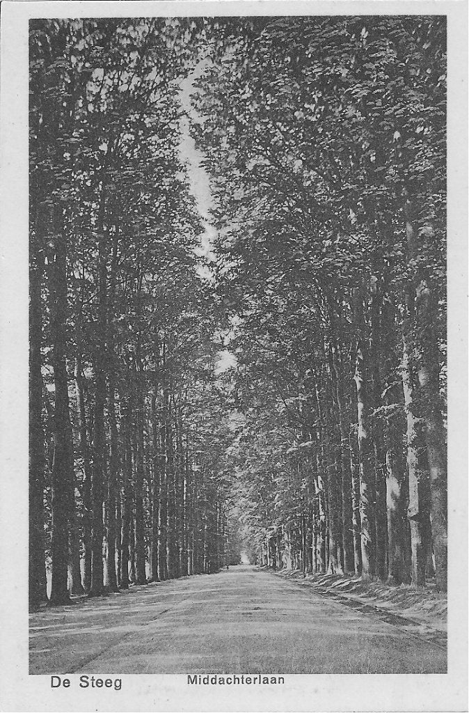 Ansichtkaart De Steeg Middachterlaan Gelderland Ongelopen, Verzamelen, Ansichtkaarten | Nederland, Ophalen of Verzenden, 1920 tot 1940