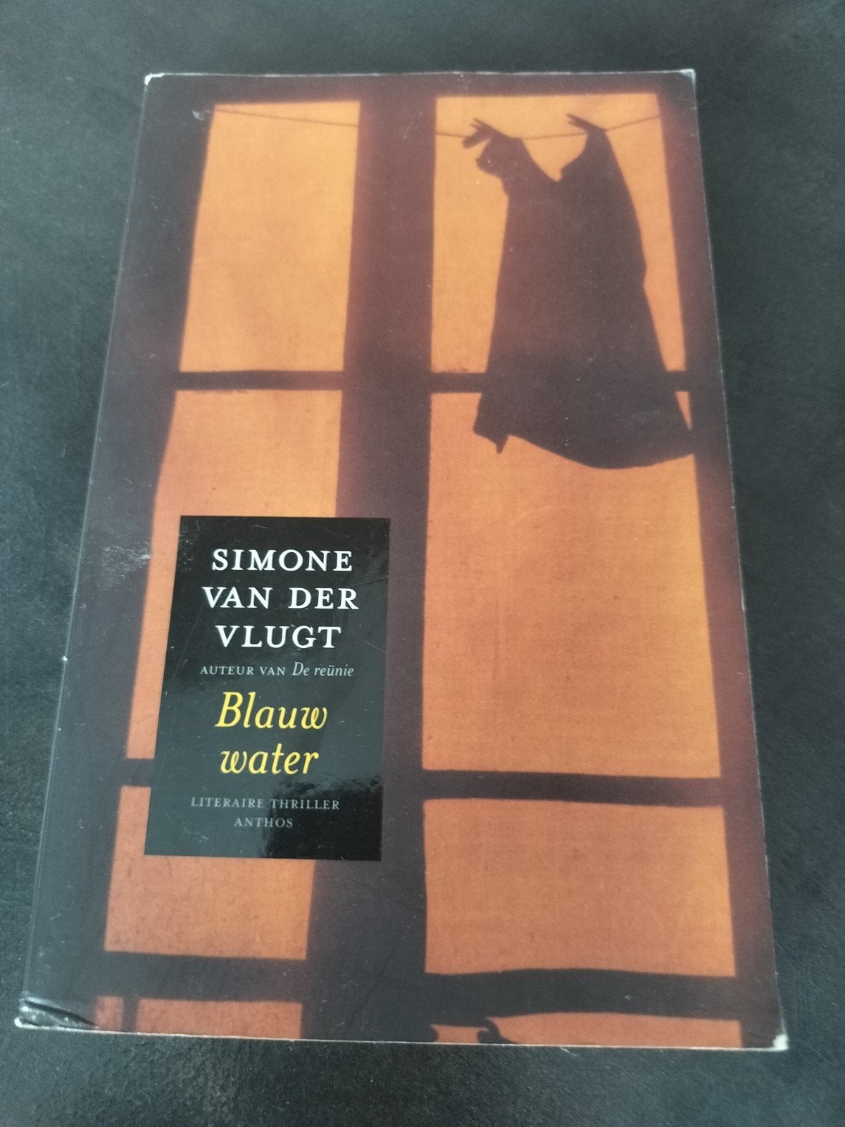 Blauw water - Simone van der Vlugt (Literaire thriller), Ophalen of Verzenden, Zo goed als nieuw