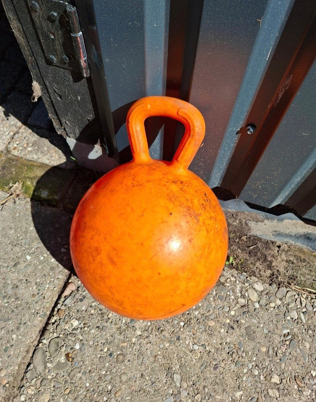 speelbal paard bal voor in stal of paddock, Ophalen of Verzenden, Gebruikt, Recreatie