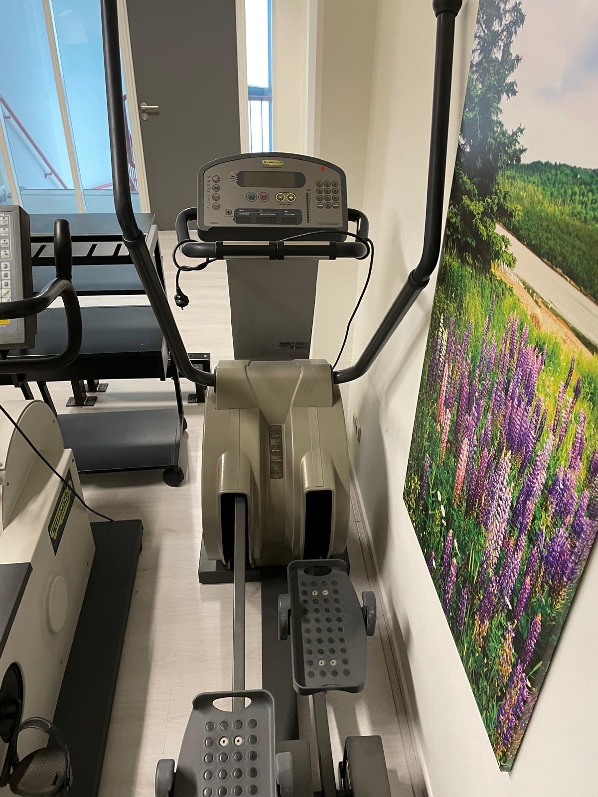 Technogym Crosstrainer - Professionele Fitnessapparatuur, Ophalen, Gebruikt, Armen, Crosstrainer