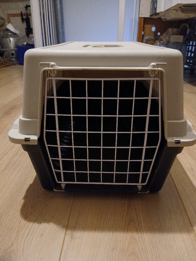 Reismandje kat, Dieren en Toebehoren, Ophalen, Zo goed als nieuw