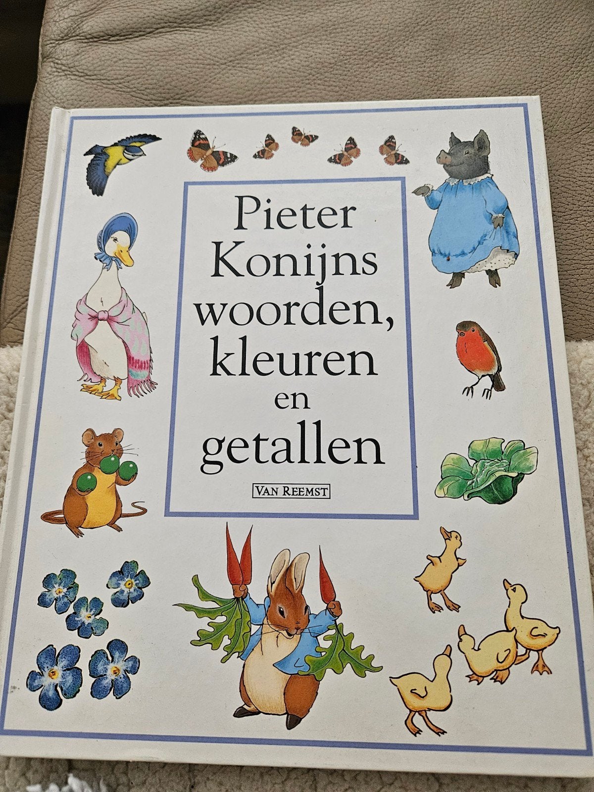 Pieter Konijns woorden, kleuren en getallen, Beatrix Potter, Ophalen of Verzenden, Zo goed als nieuw, 2 tot 3 jaar
