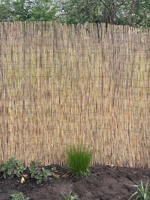 Rietmat tuinafscheiding, Tuin en Terras, Tuinschermen, Ophalen, Nieuw, 200 cm of meer, 150 tot 200 cm