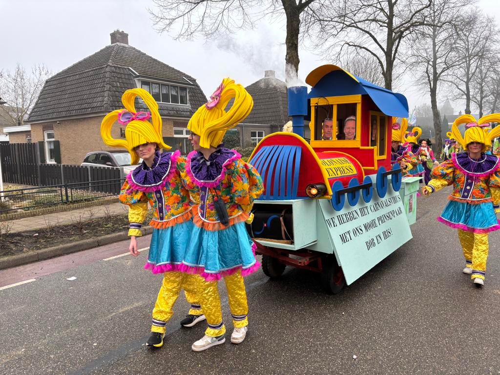 Loopgroep carnaval polonaise kleurrijk, Ophalen, Gedragen, Carnaval