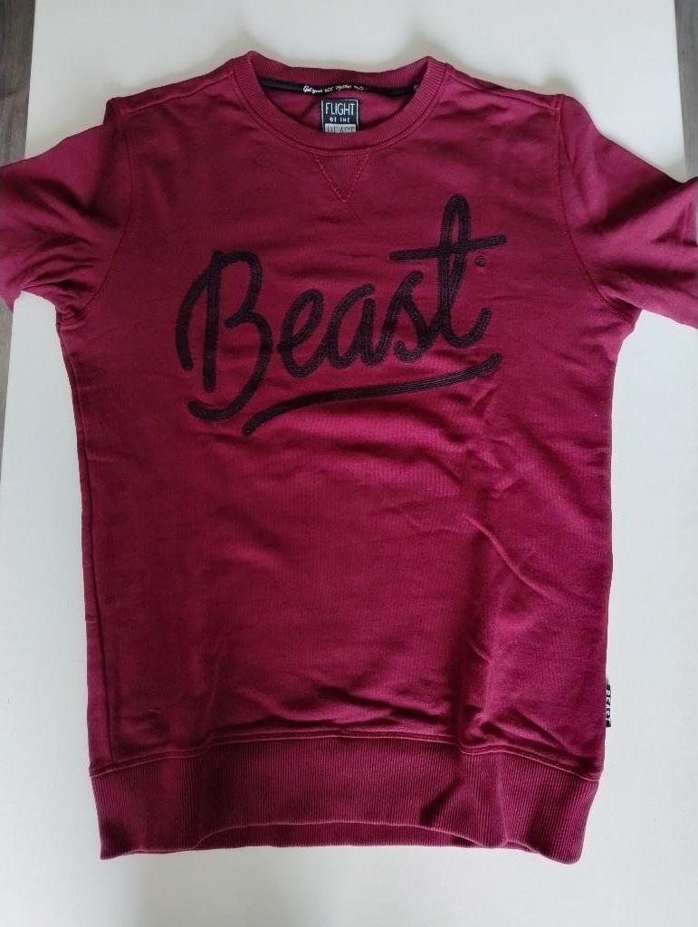 Flight of the Beast sweater, maat M, zgan, Ophalen of Verzenden, Zo goed als nieuw, Maat 48/50 (M), Rood