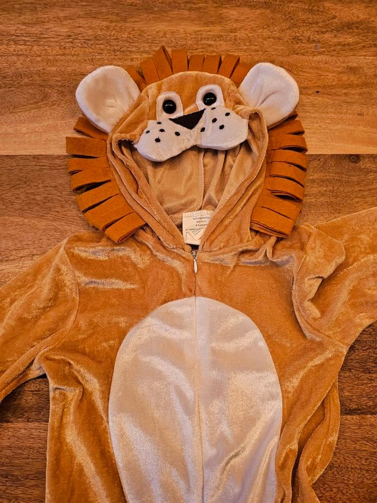 Carnaval kostuum leeuw 4-5 jaar, Ophalen of Verzenden, Zo goed als nieuw, 104 of kleiner, Jongen of Meisje