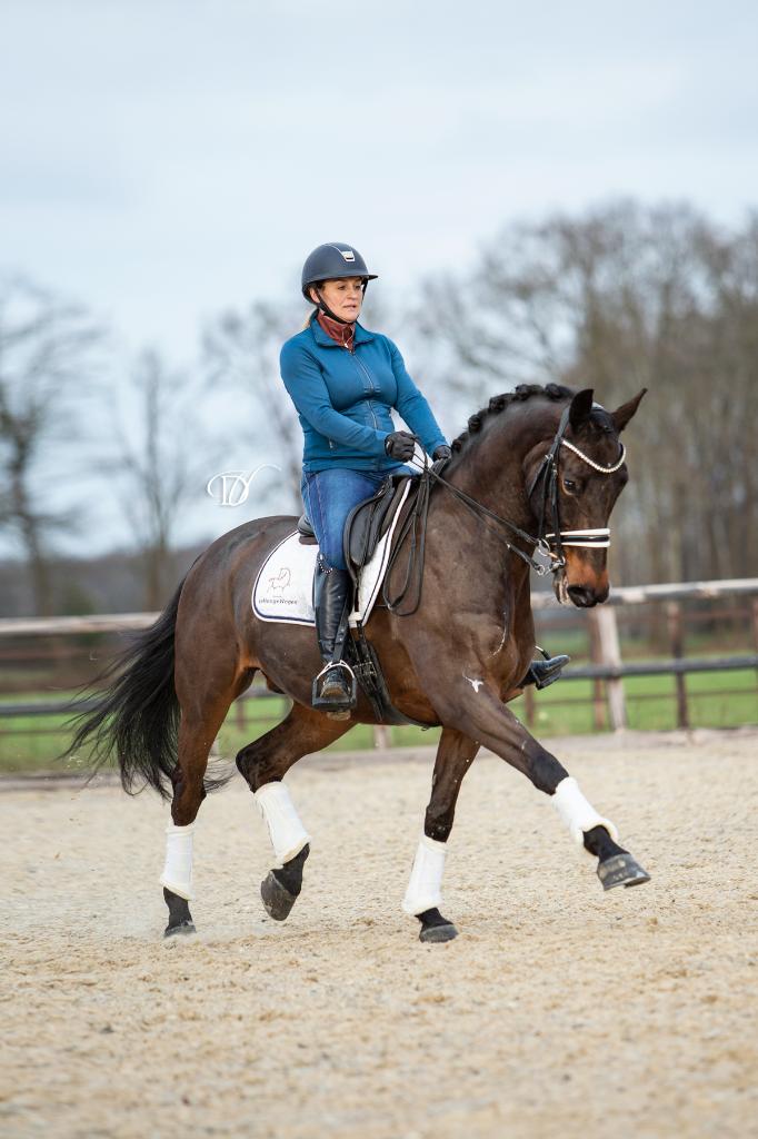 Dressuurles & Werken aan de Hand – Voor elk niveau!, Paardrijles of Ponykampen