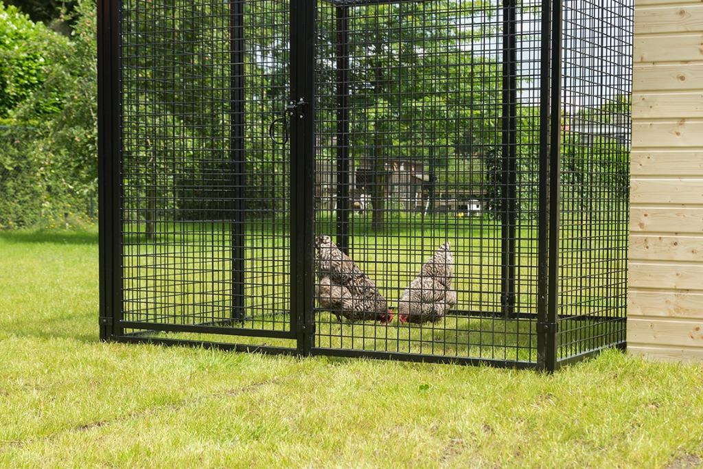 Ara kooi, zwarte zelfbouw gaas panelen, Ophalen of Verzenden, Nieuw, Metaal, Volière