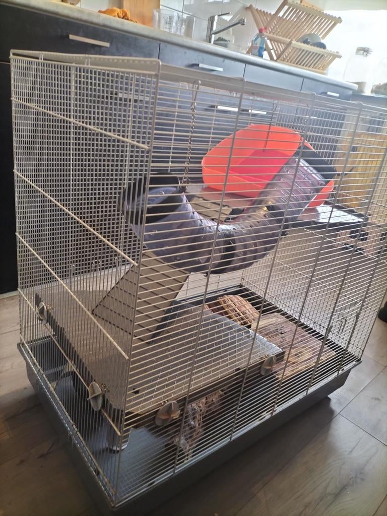 Gebruikte maar goede ratjes kooi tamme ratjes hok, Ophalen, Gebruikt, 90 cm of meer, 75 tot 110 cm