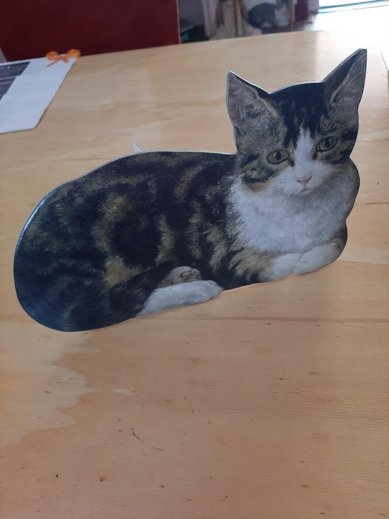 Kartonnen poes Henriette Ronner Knip, Verzenden, Nieuw