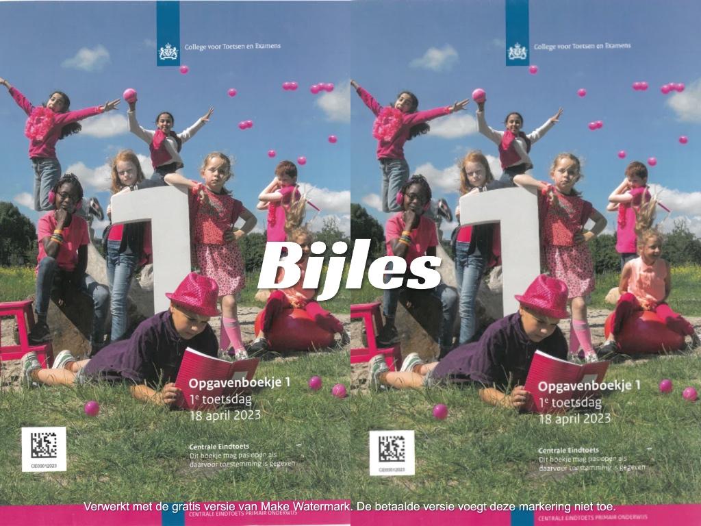 Oefen Cito eindtoets 2010 t/m 2023 + extra gratis oefeningen, Ophalen of Verzenden, Nieuw, Overige niveaus, Nederlands