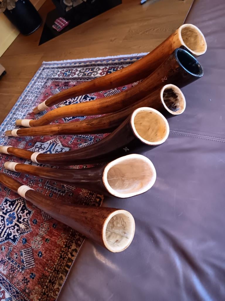 Te koop: grootste voorraad handgemaakte didgeridoo's., Muziek en Instrumenten, Blaasinstrumenten | Didgeridoos, Ophalen of Verzenden