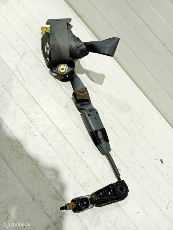 Gordel Renault Laguna 280144, Gebruikt, Ophalen of Verzenden