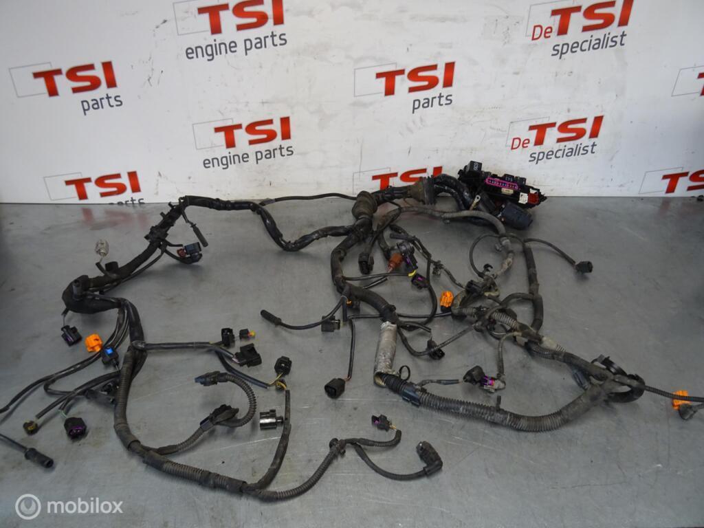 Kabelboom Motor 8K1971072S 2.7TDI CGK AUDI Multitronic Aut., Audi, Gebruikt, Audi, Ophalen of Verzenden