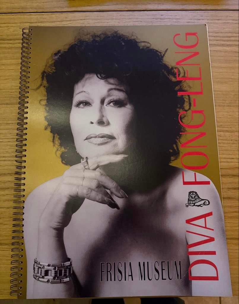 Diva Fong Leng - Frisia Museum Catalogus, Boeken, Ophalen of Verzenden, Zo goed als nieuw, Catalogus