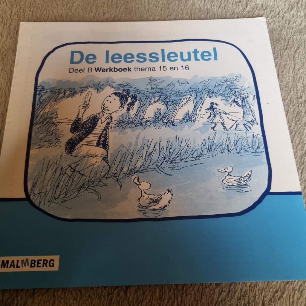 Groep 3 De Leessleutel Deel B Werkboek groep 3, Boeken, Ophalen of Verzenden, Gelezen, Malmberg