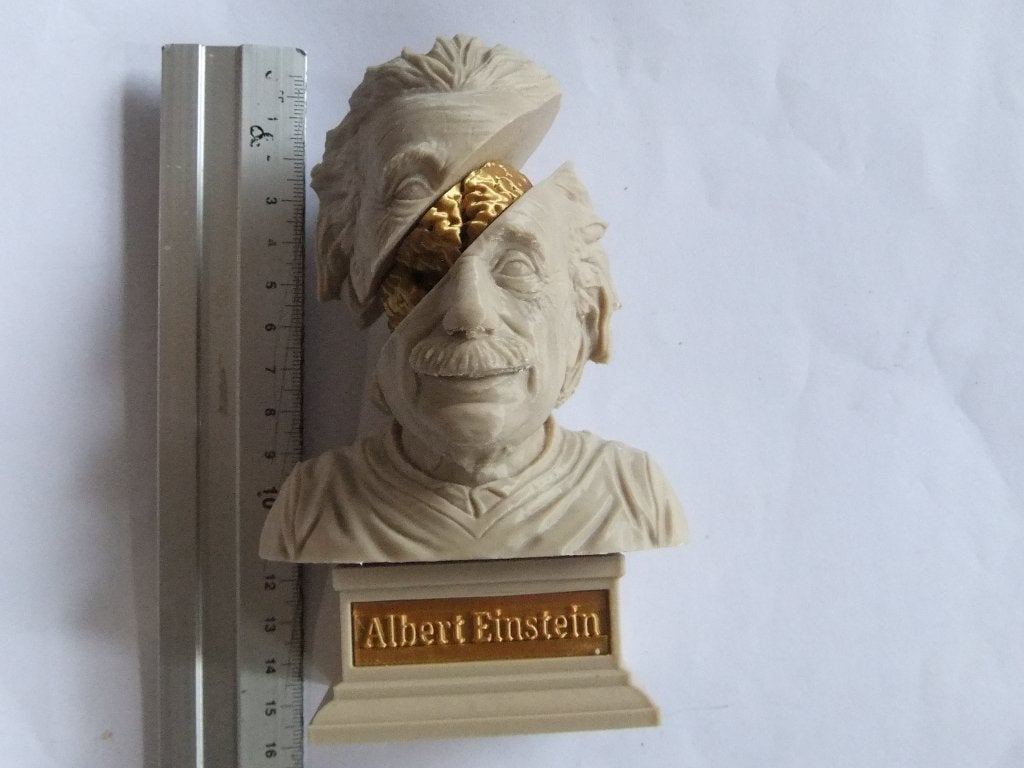 Albert Einstein Buste met Open Hoofd en Gouden Hersenen, Verzenden