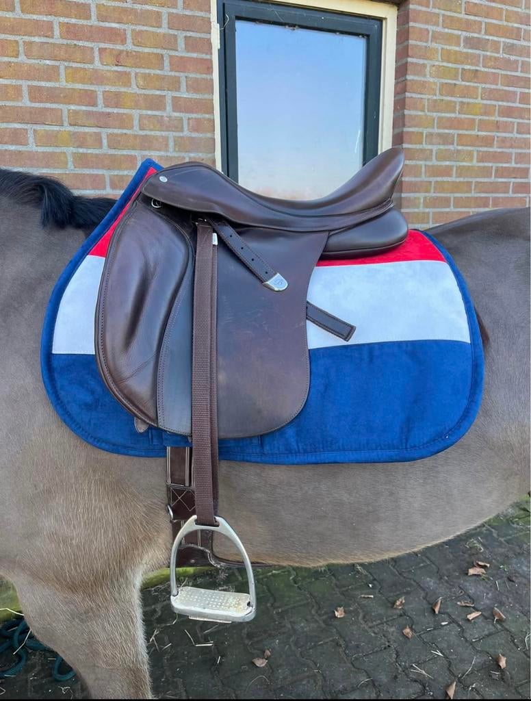bates veelzijdigheid zadel, Ophalen of Verzenden, Zo goed als nieuw