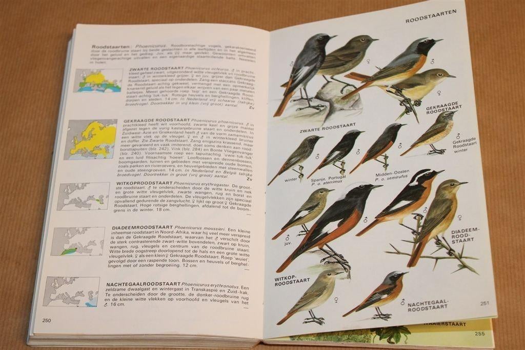 Elseviers Gids Van De Europese Vogels — Heizel [1982], Ophalen of Verzenden, Gelezen, Vogels