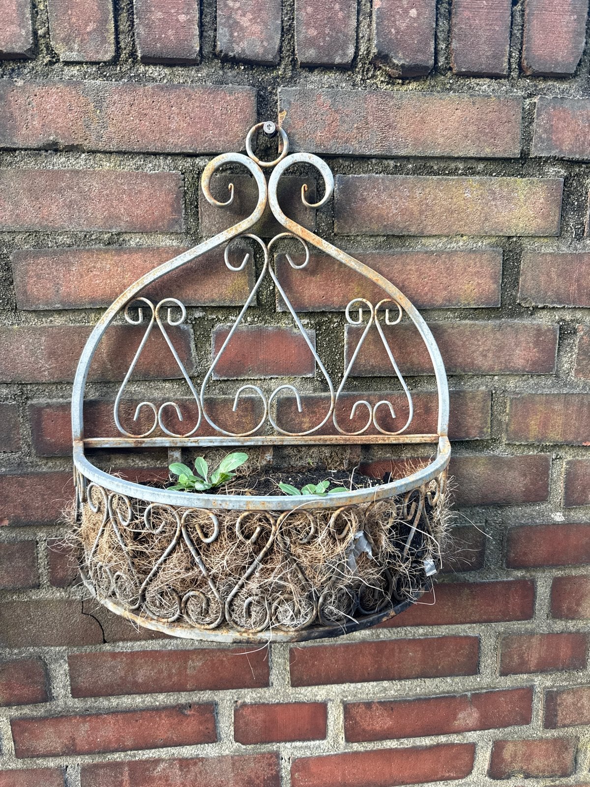 Decoratieve metalen bloembak voor aan de muur, Ophalen, Gebruikt, Minder dan 60 cm, Binnen