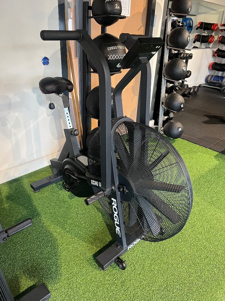 Rogue echo bike, Sport en Fitness, Ophalen, Zo goed als nieuw, Airbike