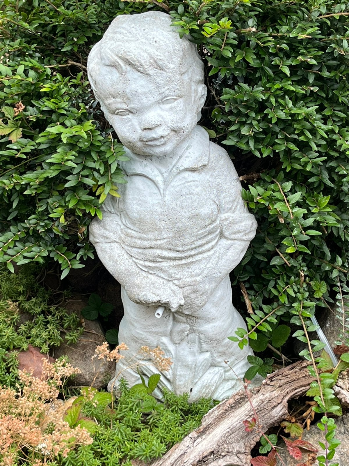Tuinbeeld manneke pis, Ophalen, Gebruikt