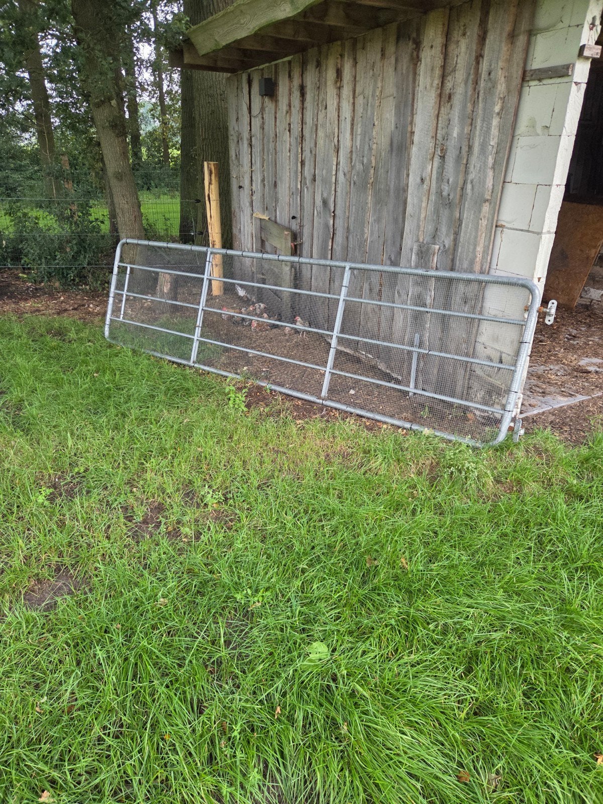 Gegalvaniseerd Weidehek, 2 stuks - 4 meter breed, Ophalen