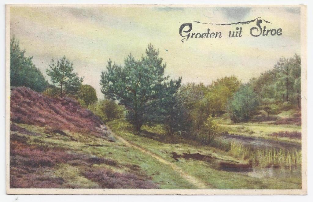 Stroe Struikgewas Oude gelopen Ansichtkaart (B1550, Verzamelen, Ansichtkaarten | Nederland, Ophalen of Verzenden, 1940 tot 1960