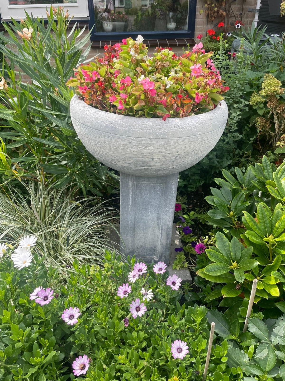 Plantenbak met zuil incl planten, Ophalen, Zo goed als nieuw, Kunststof