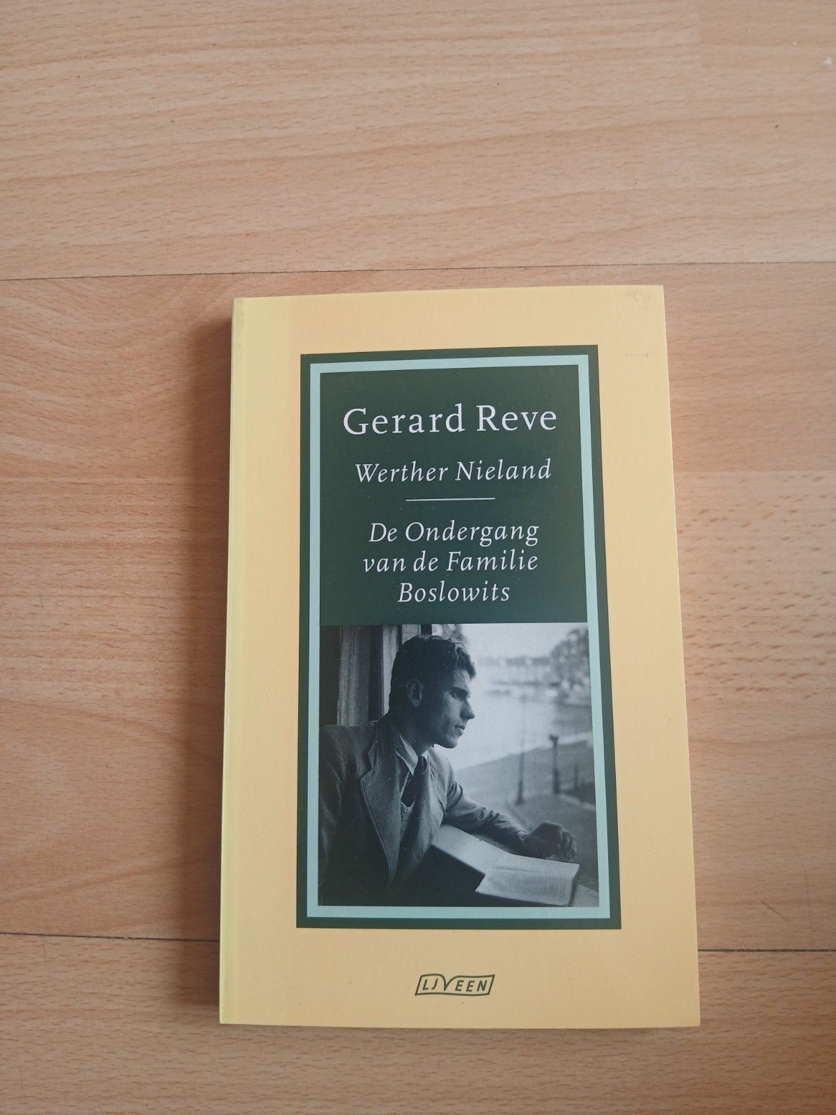 Gerard Reve - Werther Nieland / De Ondergang van de B, Ophalen of Verzenden, Gelezen, Gerard Reve, Nederland