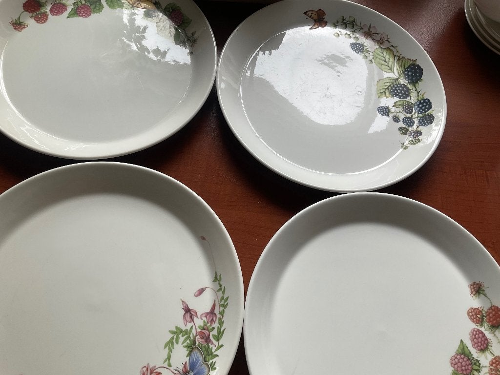 Marjolein Bastin Libelle Wedgwood 4 dinerborden, Ophalen of Verzenden, Zo goed als nieuw, Porselein, Bord(en)