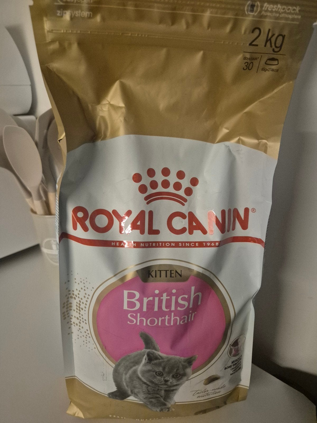 Brits korthaar kitten droog voer, Ophalen of Verzenden, Kat