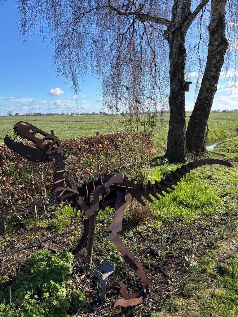 Dinosaurus skelet beeld van Cortenstaal - 145x250 cm, Ophalen, Overige onderwerpen, Weerbestendig, Meer dan 2 meter