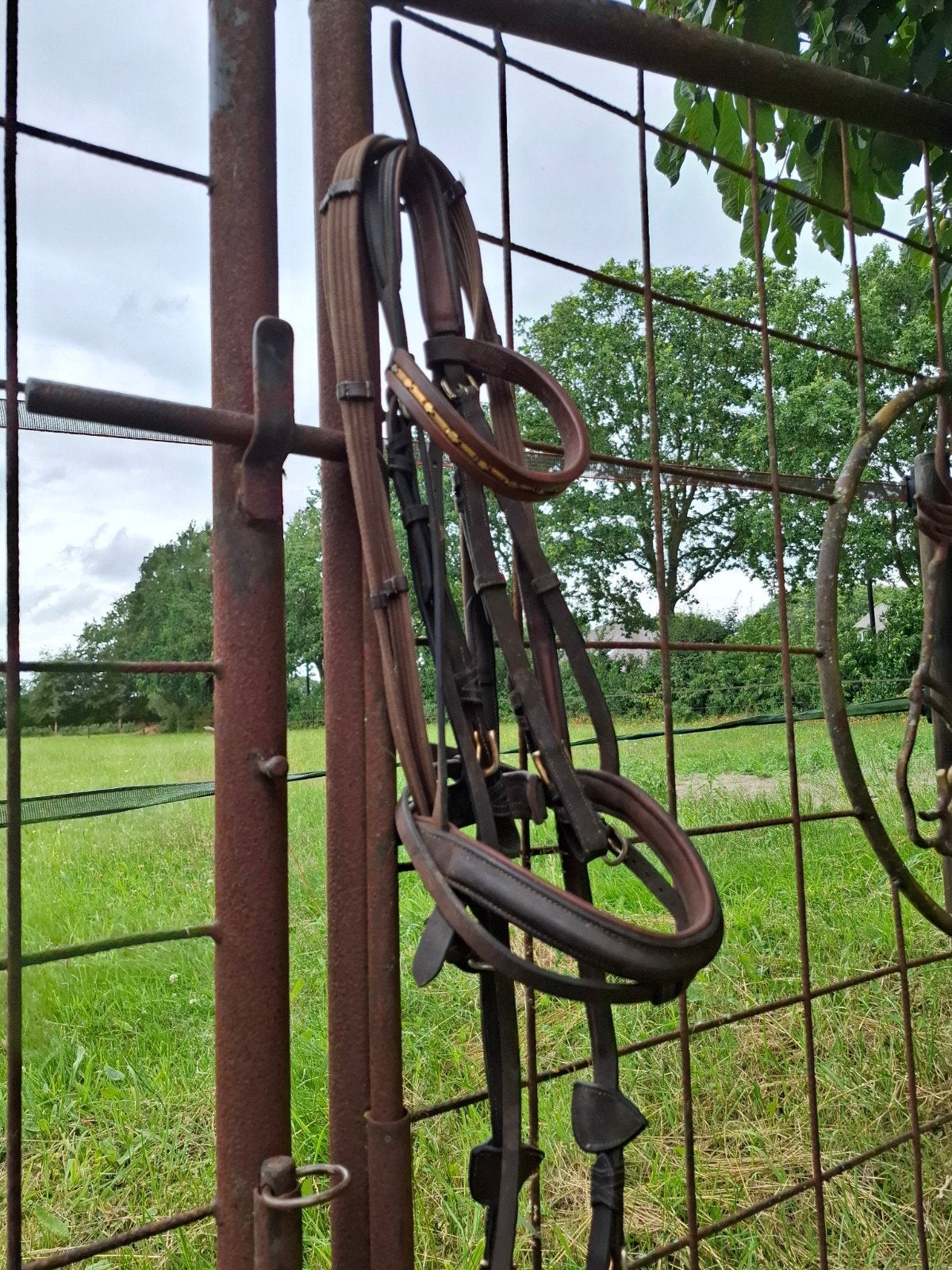 Bruin hoofdstel full, Dieren en Toebehoren, Paarden en Pony's | Hoofdstellen en Tuigage, Hoofdstel, Bruin, Ophalen of Verzenden