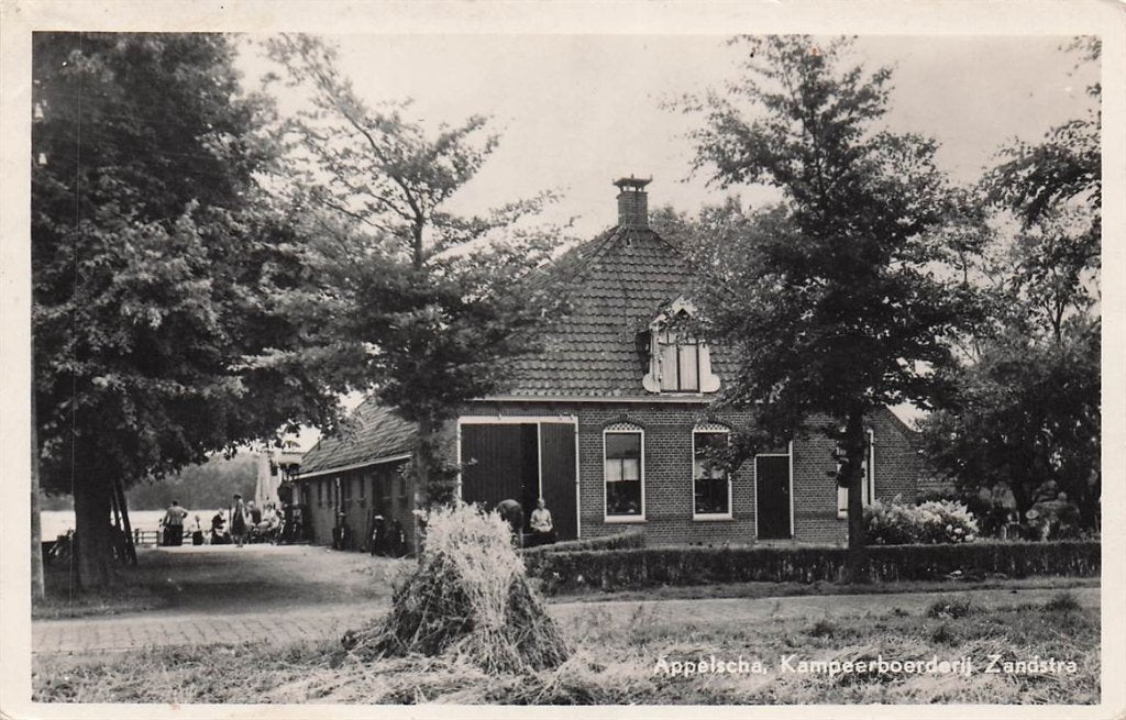 703-029-007 Appelscha Kampeerboerderij Zandstra, Ophalen of Verzenden, Voor 1920, Friesland