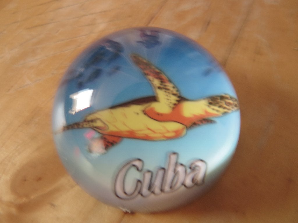 Toeristenitem cuba press papier  schildpad, Antiek en Kunst, Ophalen of Verzenden