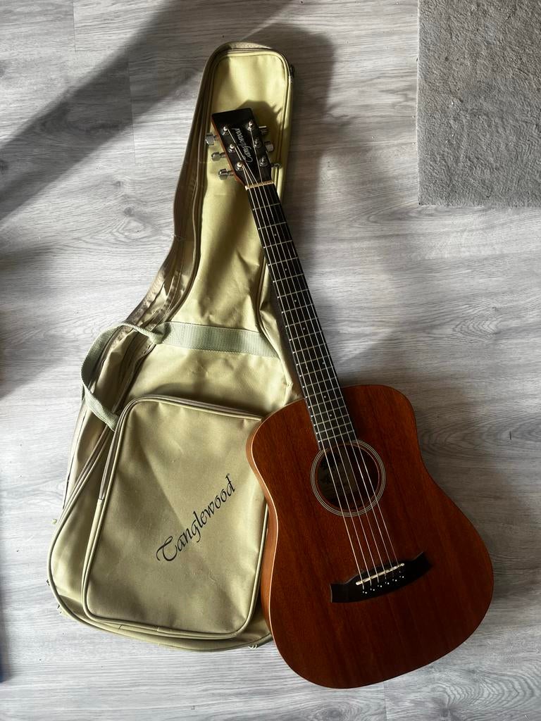Tanglewood Winterleaf Travelsize Gitaar 3/4 Maat, Muziek en Instrumenten, Snaarinstrumenten | Gitaren | Akoestisch, Ophalen of Verzenden
