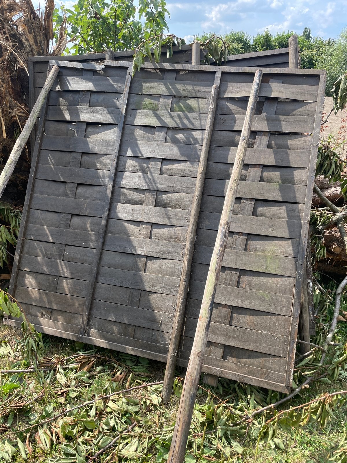3 schuttingdelen (1 beschadigd) - Gratis af te halen, Ophalen, Minder dan 3 meter, Hout, 1 tot 2 meter