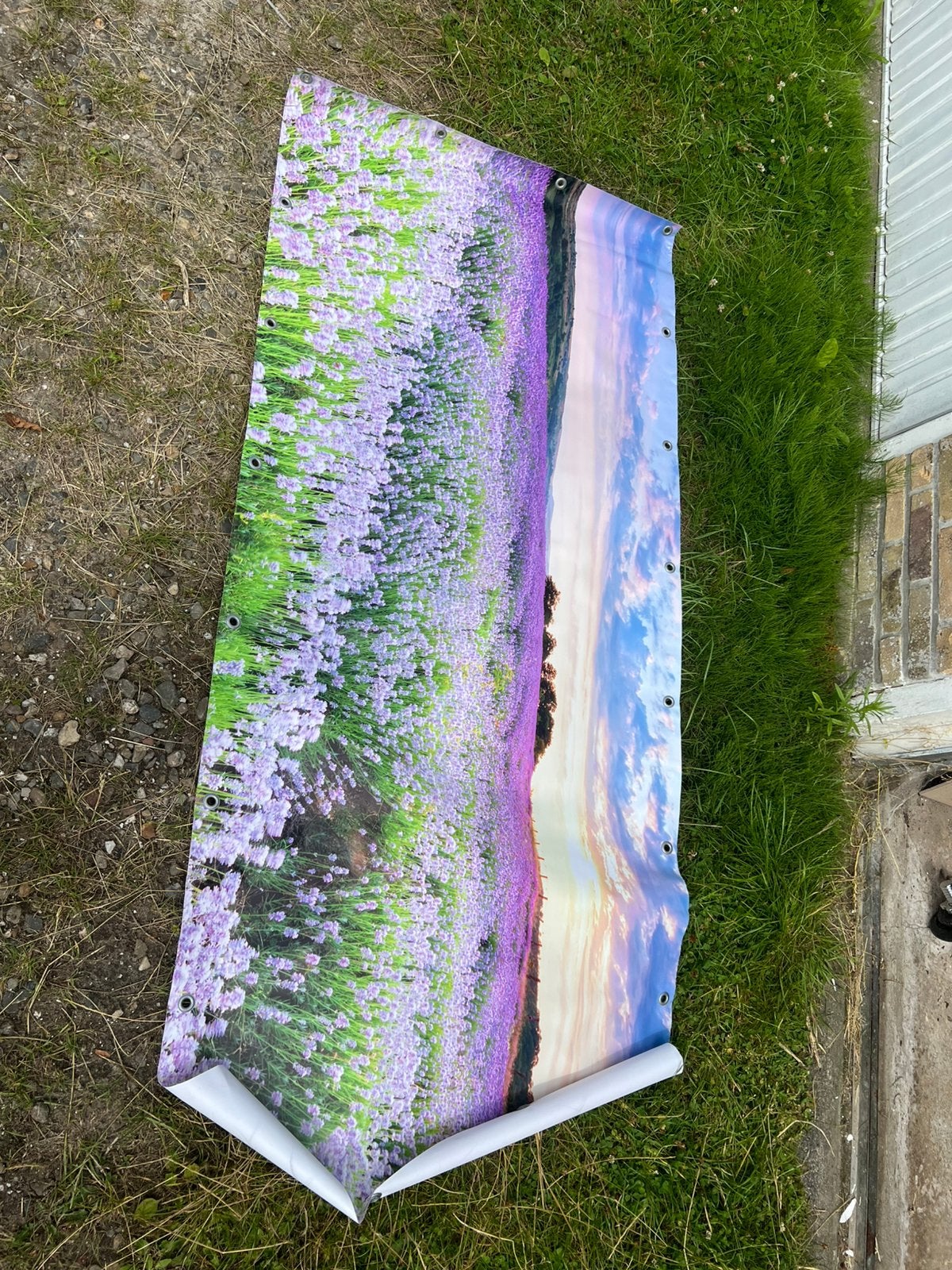 Tuinposter lavendel xl €20 afhaal, Ophalen, Zo goed als nieuw
