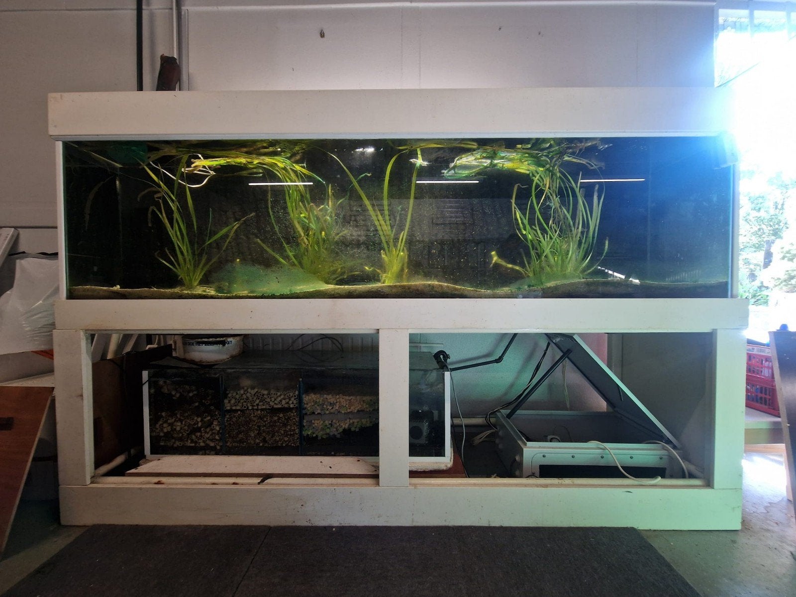 aquarium 225x60x70, Ophalen, Verwarming, Gebruikt, Filter