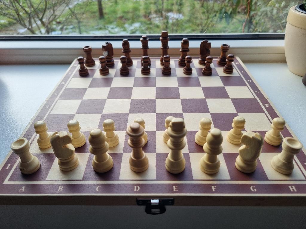 Schaken en Backgammon, Ophalen of Verzenden, Gebruikt