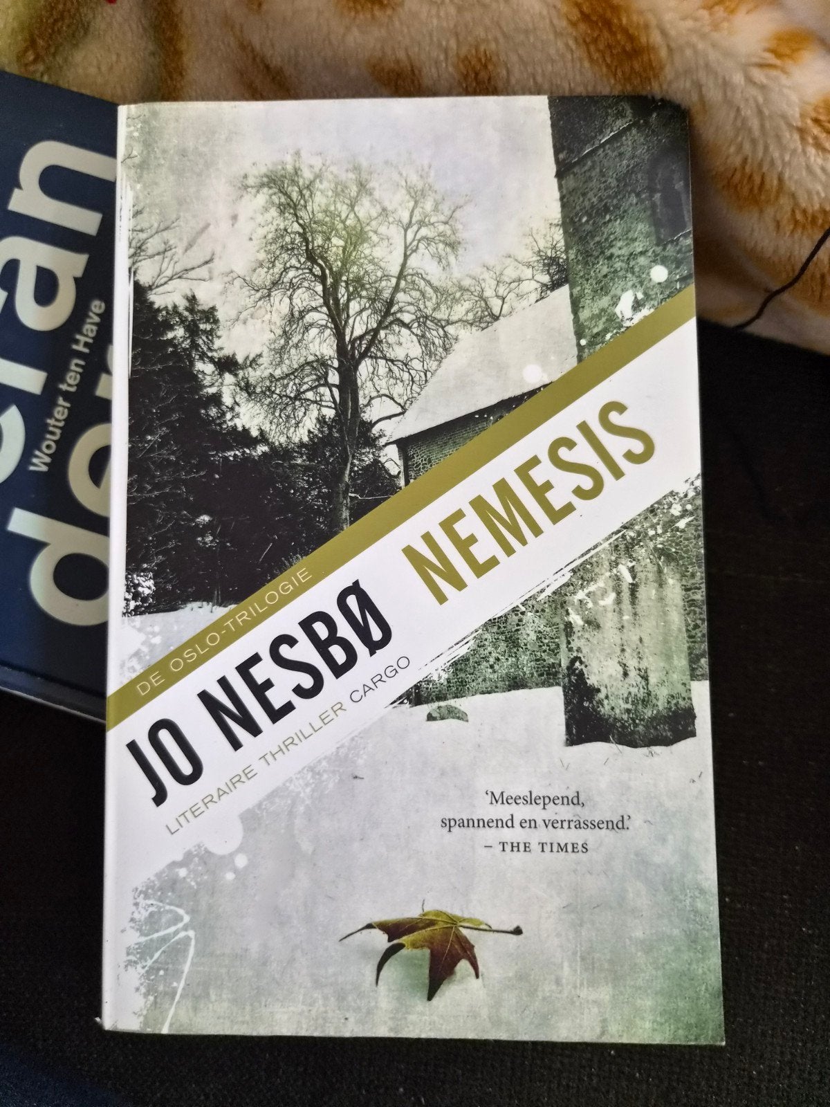 Jo Nesbø - Nemesis (De Oslo-trilogie), Boeken, Thrillers, Gelezen, Scandinavië, Ophalen of Verzenden