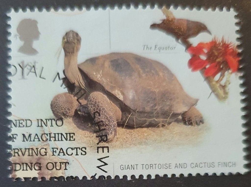 279-26 Engeland / Giant Tortoise and Cactus Finch, Verzenden, Gestempeld