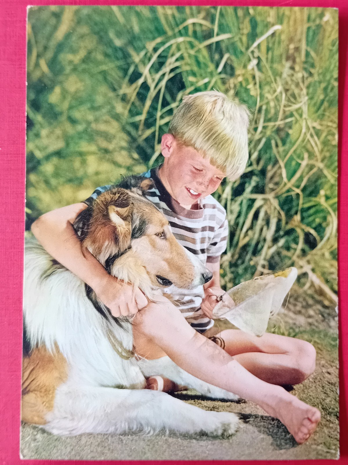 Ansichtkaart Lassie, Ophalen of Verzenden, Foto of Kaart